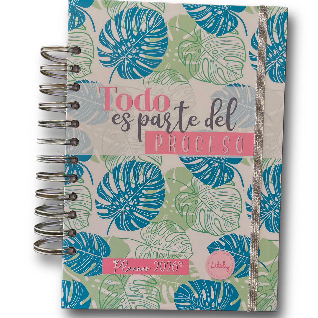 Planner 2026 Lineas Colores  27