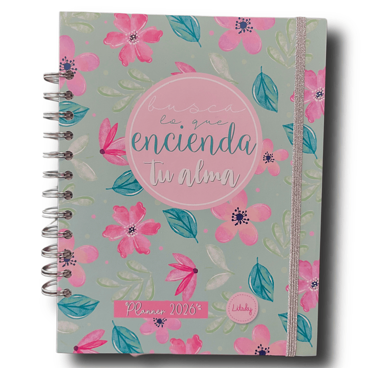 Planner 2026 Lineas Colores  28