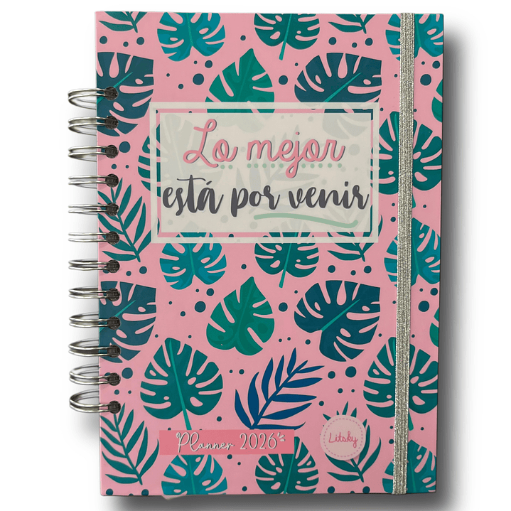Planner 2026 Lineas Colores  29