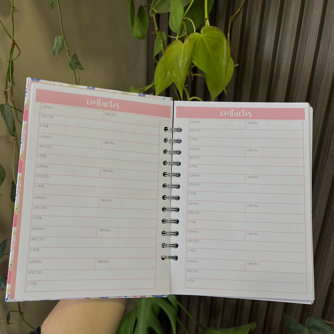 Planner 2026 La vida comienza muchas veces 3