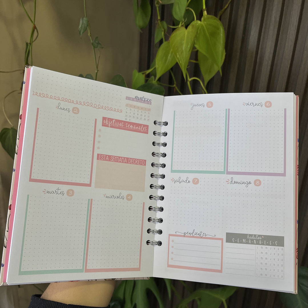 Planner 2026 Yes you can 12