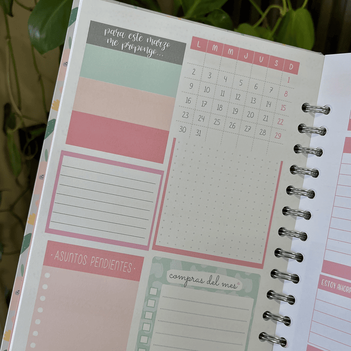 Planner 2026 Este año conquistamos 8