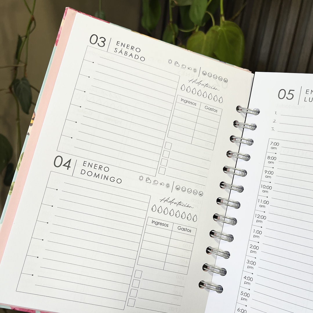 Agenda Diaria 2026 (Modelo 01)  5