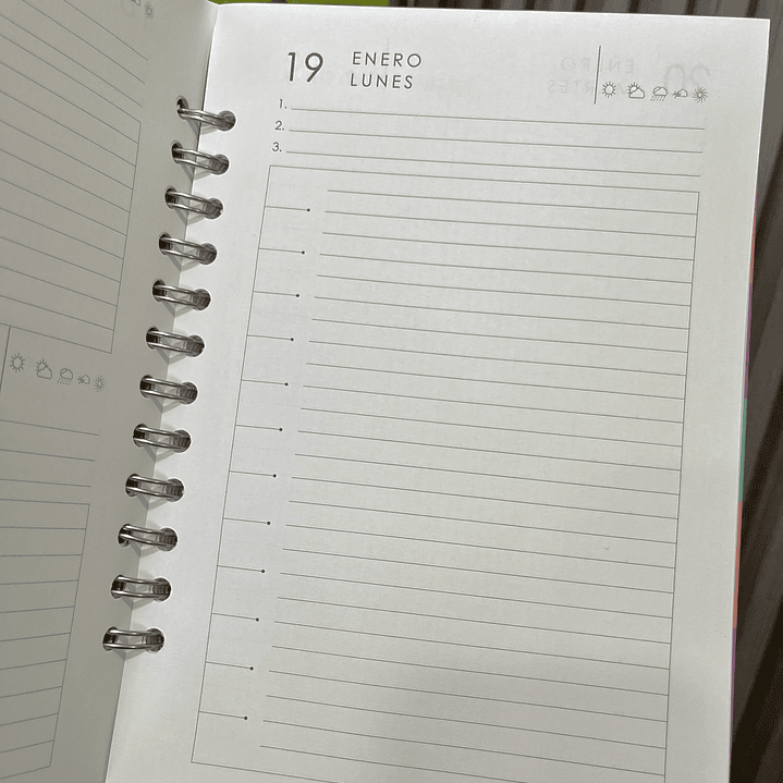 Agenda Diaria 2026 (Modelo 02) 6