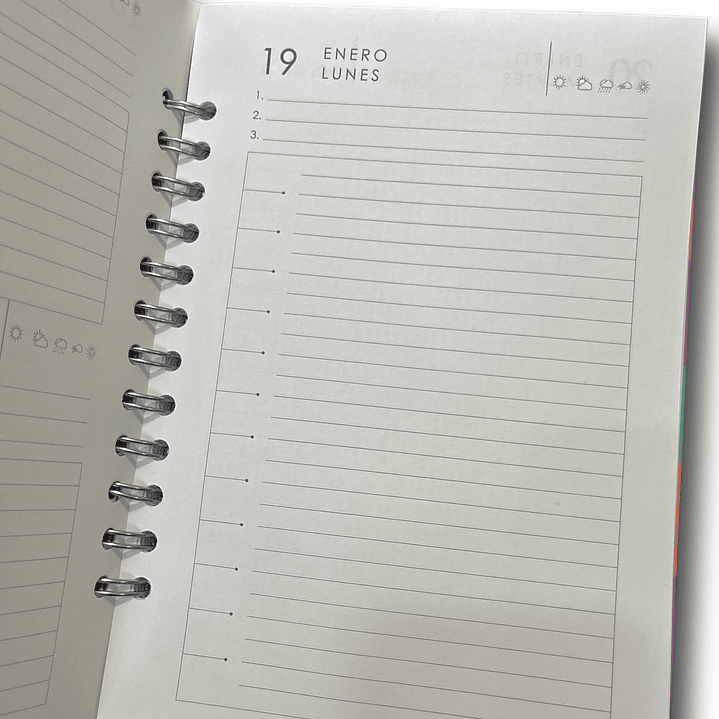 Agenda Diaria 2026 (Modelo 02) 1