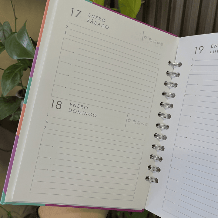 Agenda Diaria 2026 (Modelo 02) 5