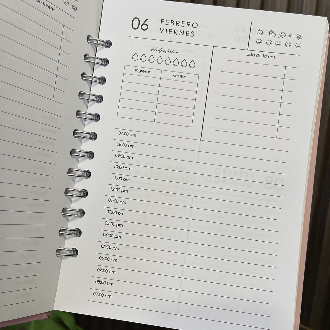 Agenda Diaria 2026 (Modelo 03) 6