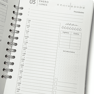 Agenda Diaria 2026 (Modelo 01) 