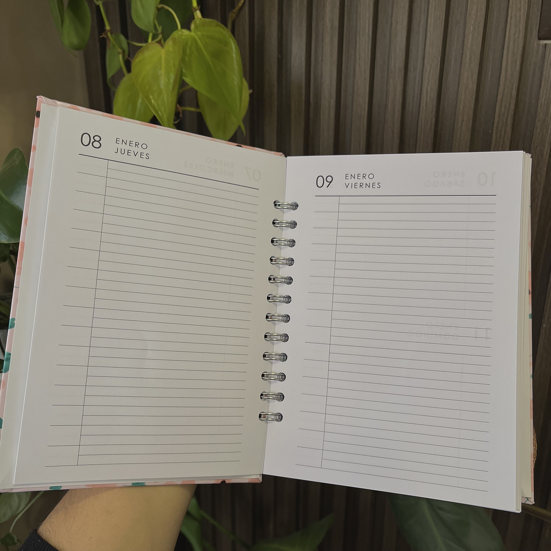 Agenda Diaria 2026 (Modelo 04) 5