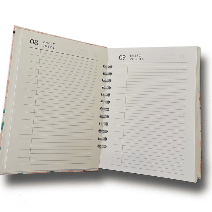 Agenda Diaria 2026 (Modelo 04) 1