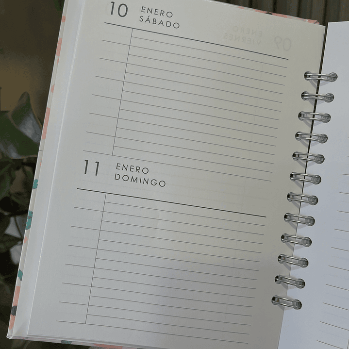 Agenda Diaria 2026 (Modelo 04) 2