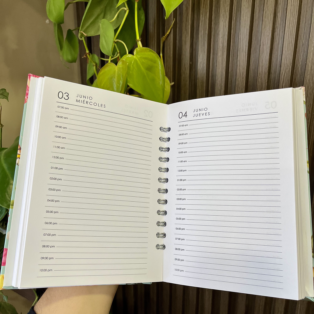 Agenda Diaria 2026 (Modelo 05) 4