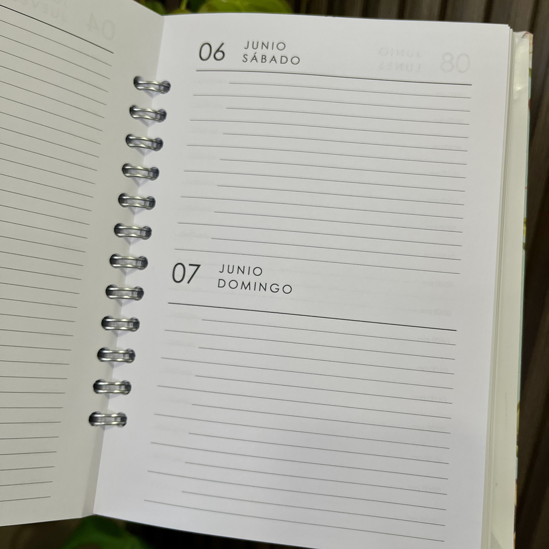 Agenda Diaria 2026 (Modelo 05) 5