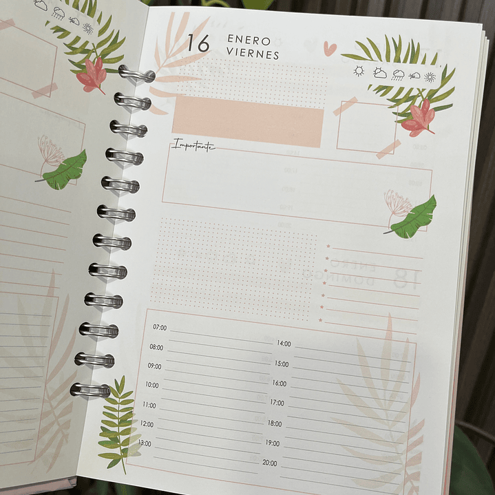 Agenda Diaria 2026 (Modelo 07) 6