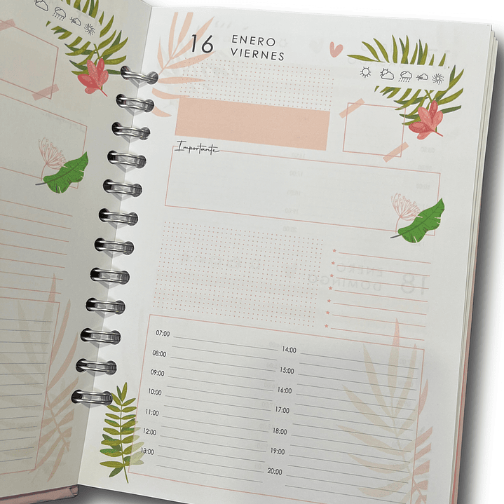 Agenda Diaria 2026 (Modelo 07) 1