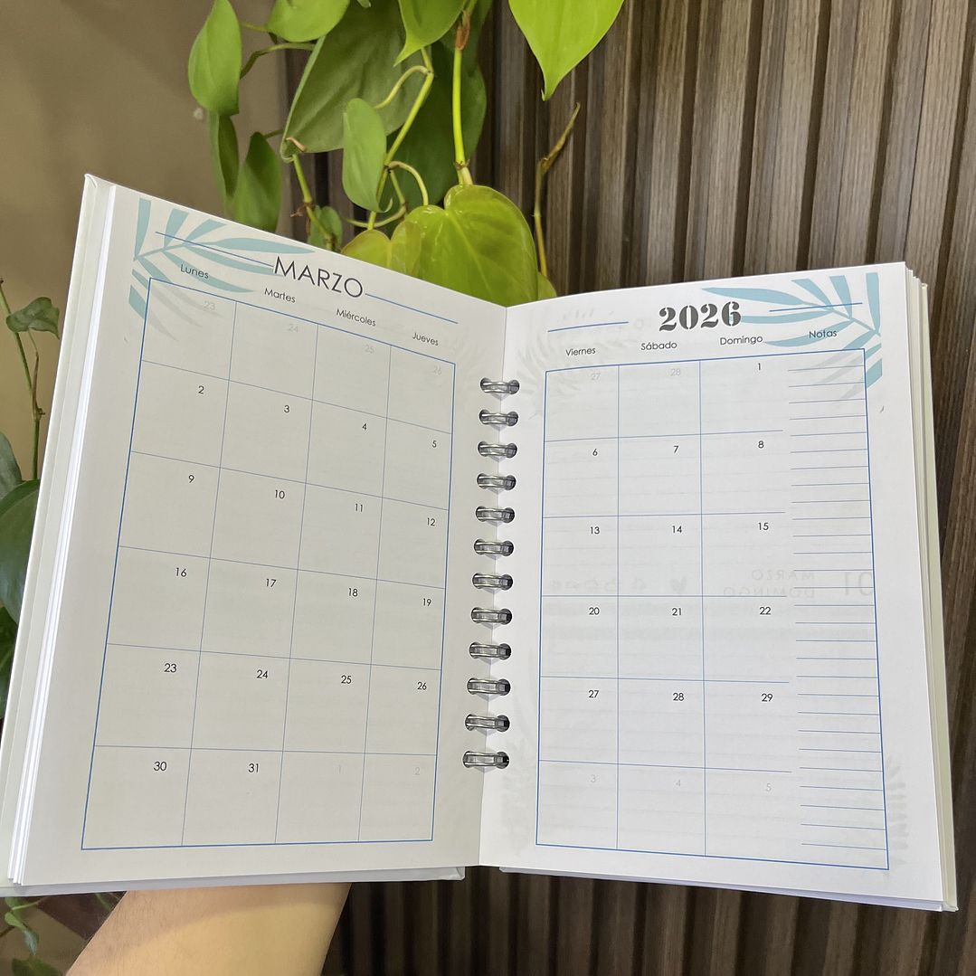 Agenda Diaria 2026 (Modelo 08) 3