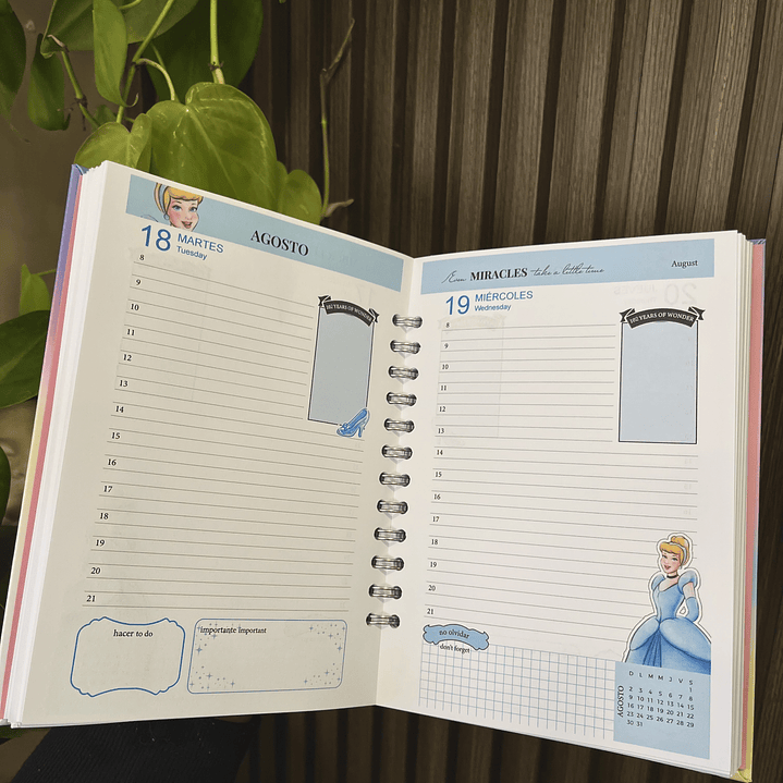 Agenda 2026 inspirada en Disney (1 dia por pág) 11