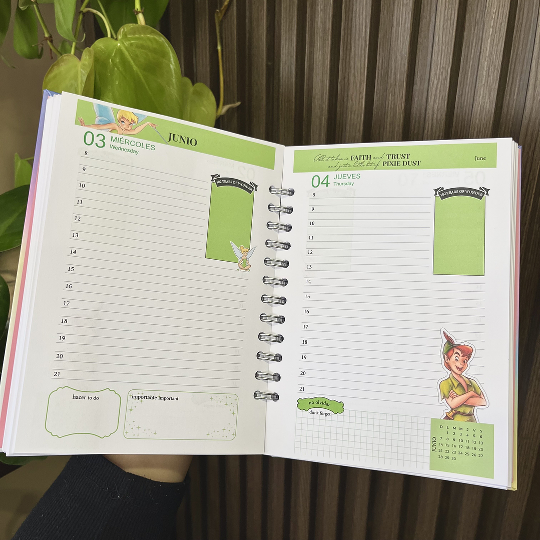 Agenda 2026 inspirada en Disney (1 dia por pág) 12