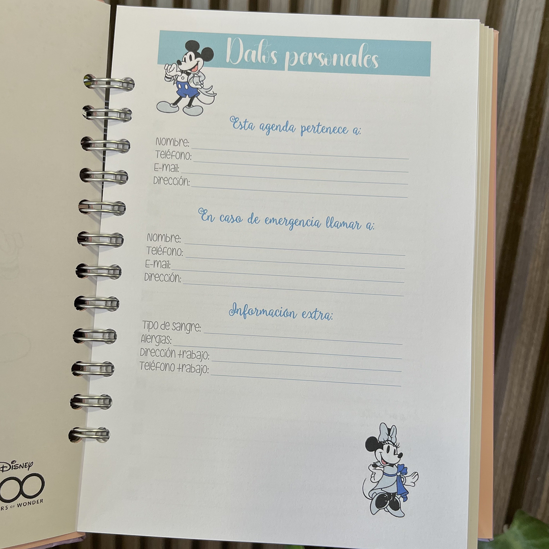 Agenda 2026 inspirada en Disney (2 días por página) 11