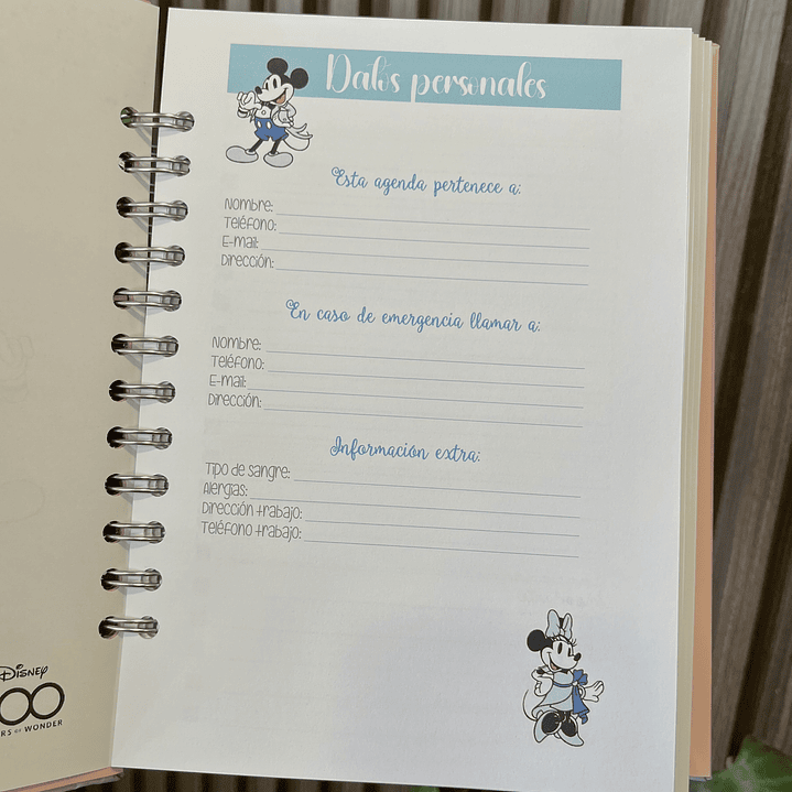 Agenda 2026 inspirada en Disney (2 días por página) 11