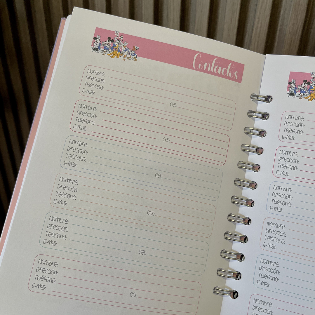 Agenda 2026 inspirada en Disney (2 días por página) 14