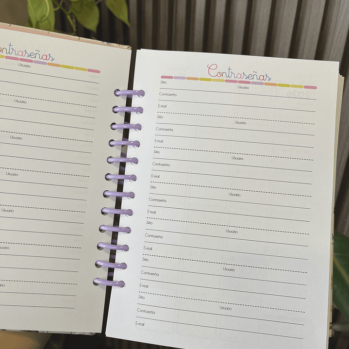 Agenda Diaria 2026 Puntos  24