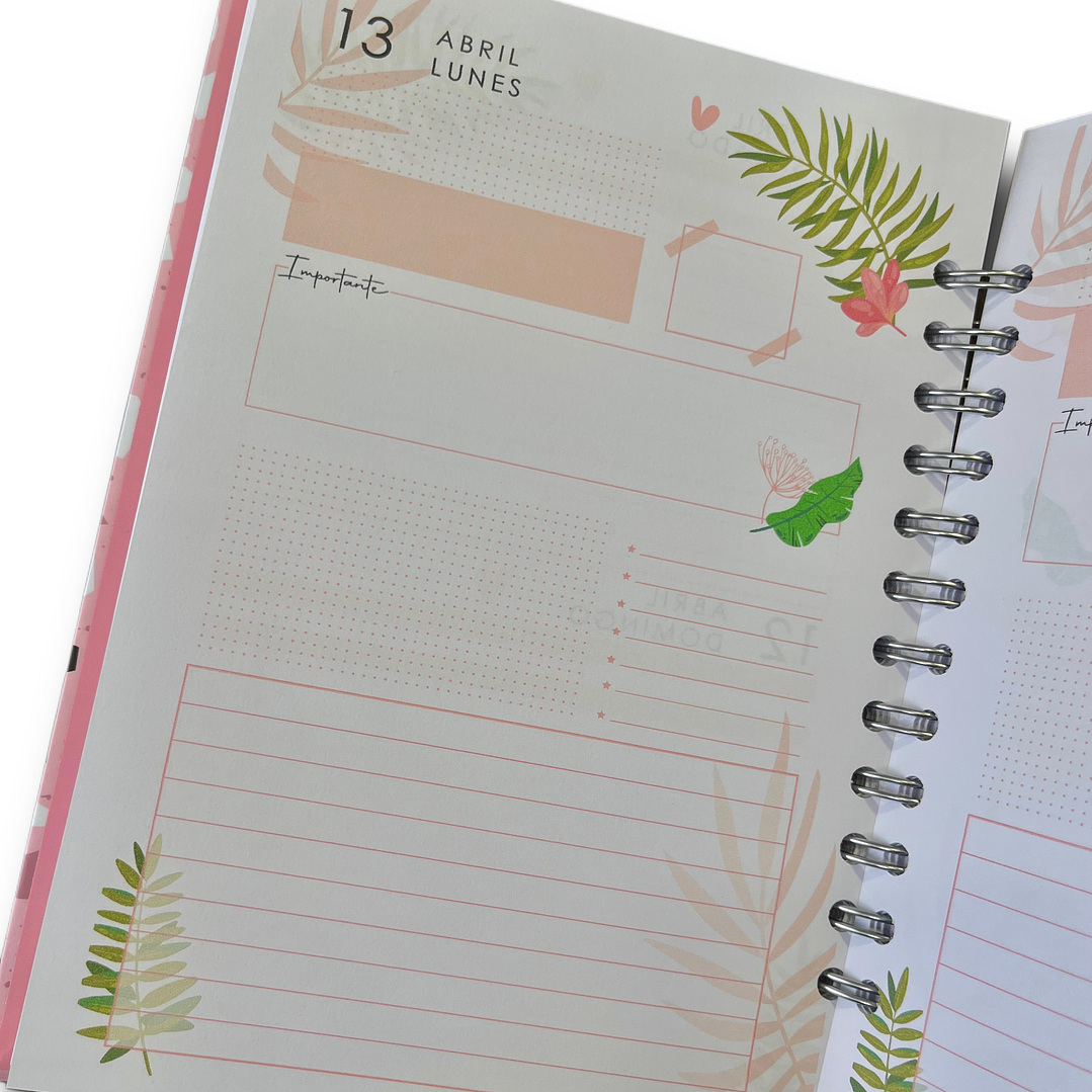 Agenda Diaria 2026 (Modelo 06) 1