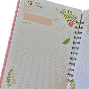 Agenda Diaria 2026 (Modelo 06)