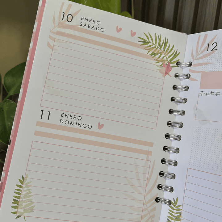 Agenda Diaria 2026 (Modelo 06) 24