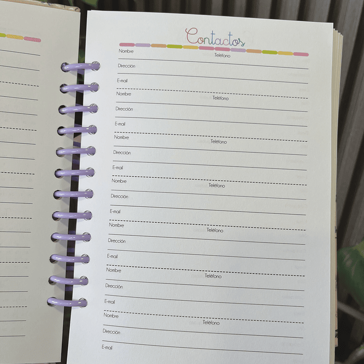 Agenda Diaria 2026 Lineas 23