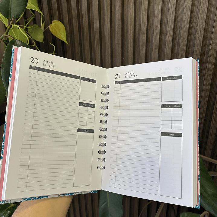 Sale - Agenda Diaria 2026 Citas sin hora 2