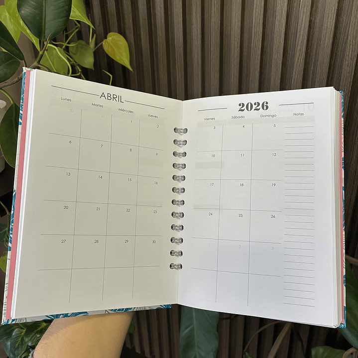 Sale - Agenda Diaria 2026 Citas sin hora 3