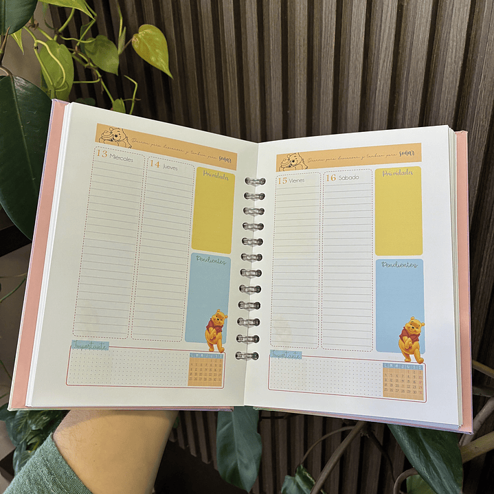 Sale - Agenda Disney 2026 2