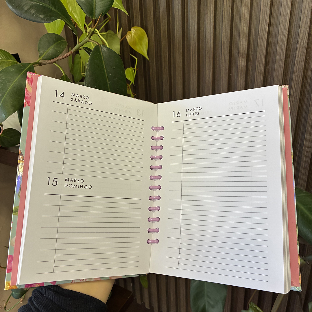 Sale - Agenda Diaria 2026 2