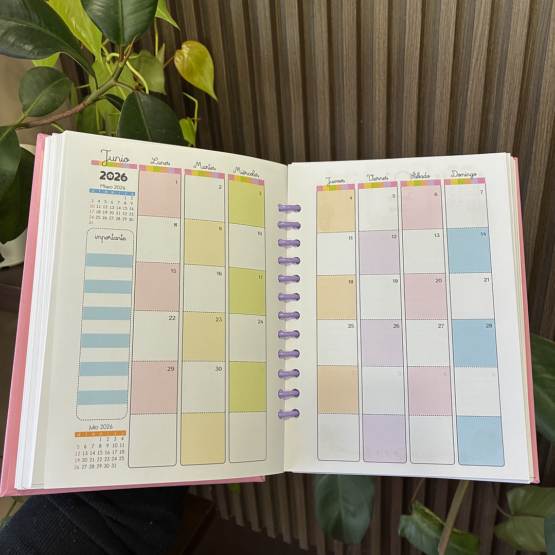 Sale - Agenda Diaria 2026 3