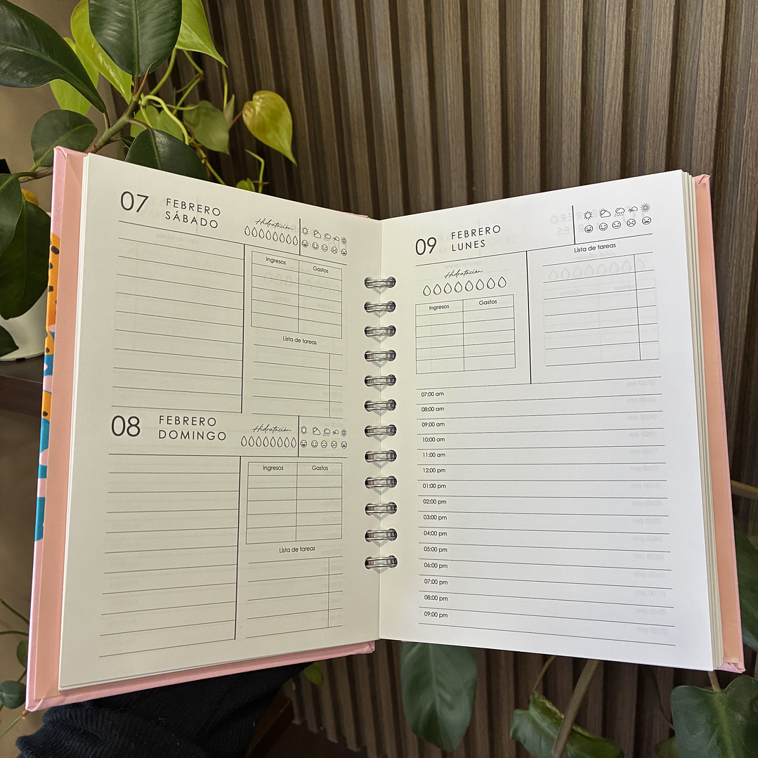 Sale - Agenda Diaria 2026 2