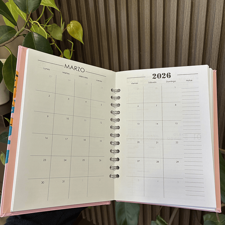 Sale - Agenda Diaria 2026 3