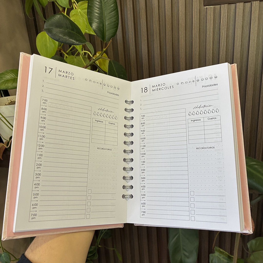 Sale - Agenda Diaria 2026 2