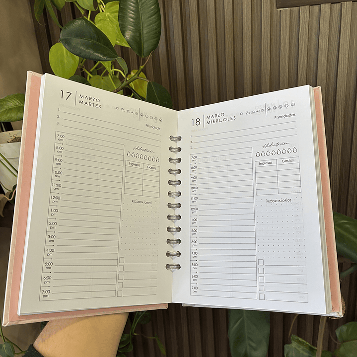 Sale - Agenda Diaria 2026 2