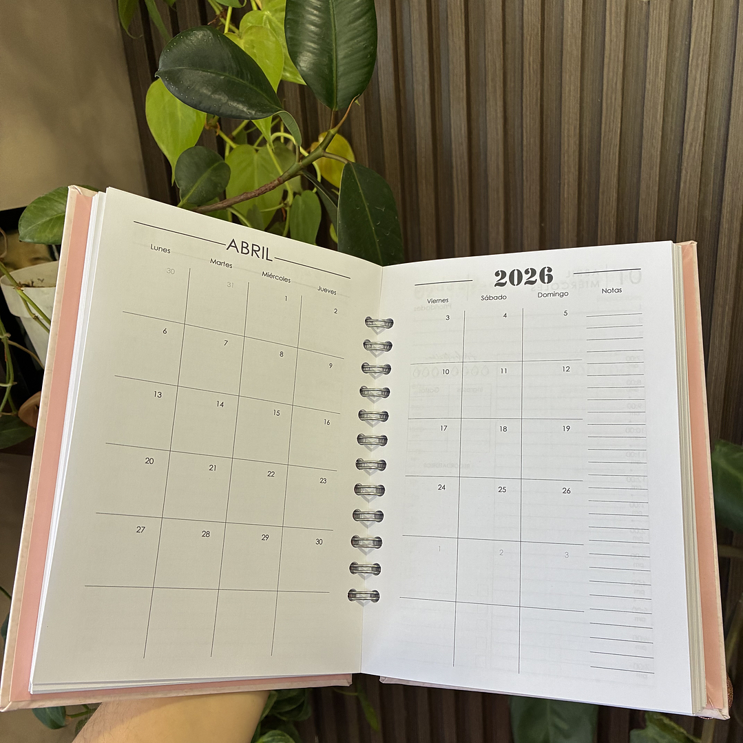 Sale - Agenda Diaria 2026 3