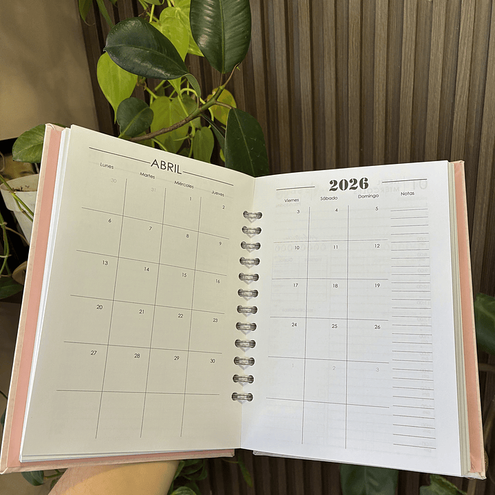 Sale - Agenda Diaria 2026 3