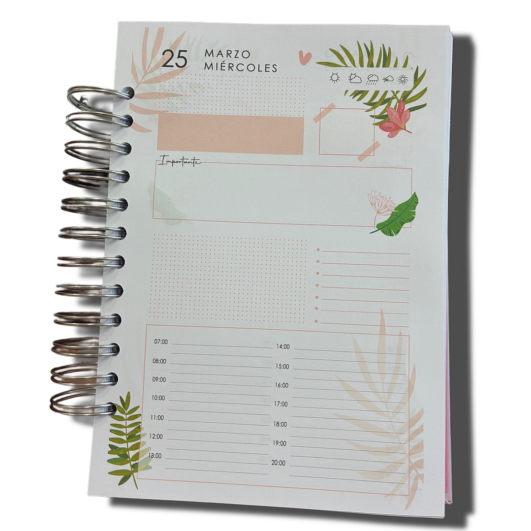 Sale - Agenda Diaria 2026 2