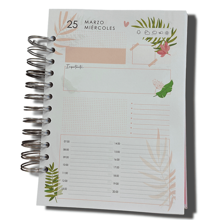 Sale - Agenda Diaria 2026 2