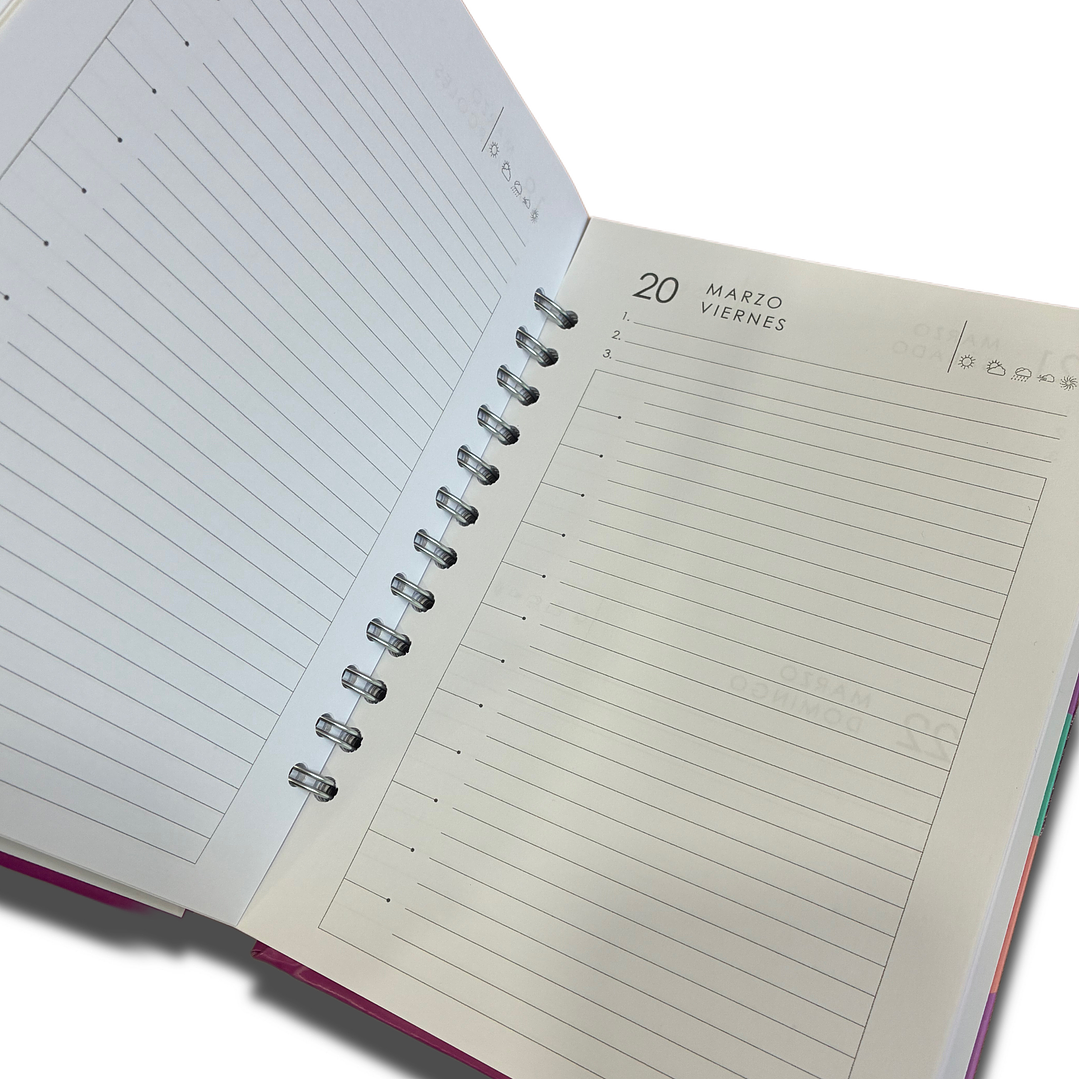 Sale - Agenda Diaria 2026 2