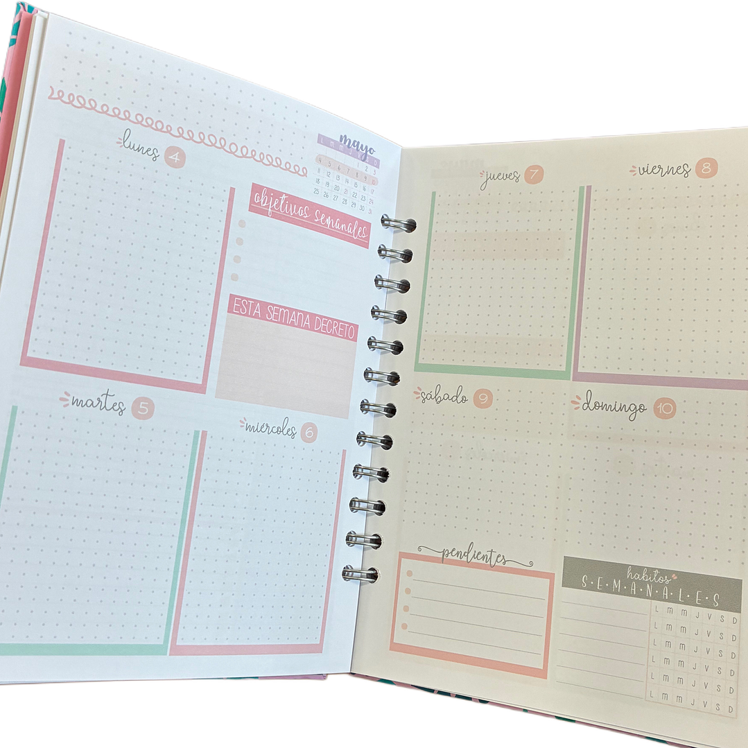 Sale - Planner 2026 Puntos  2