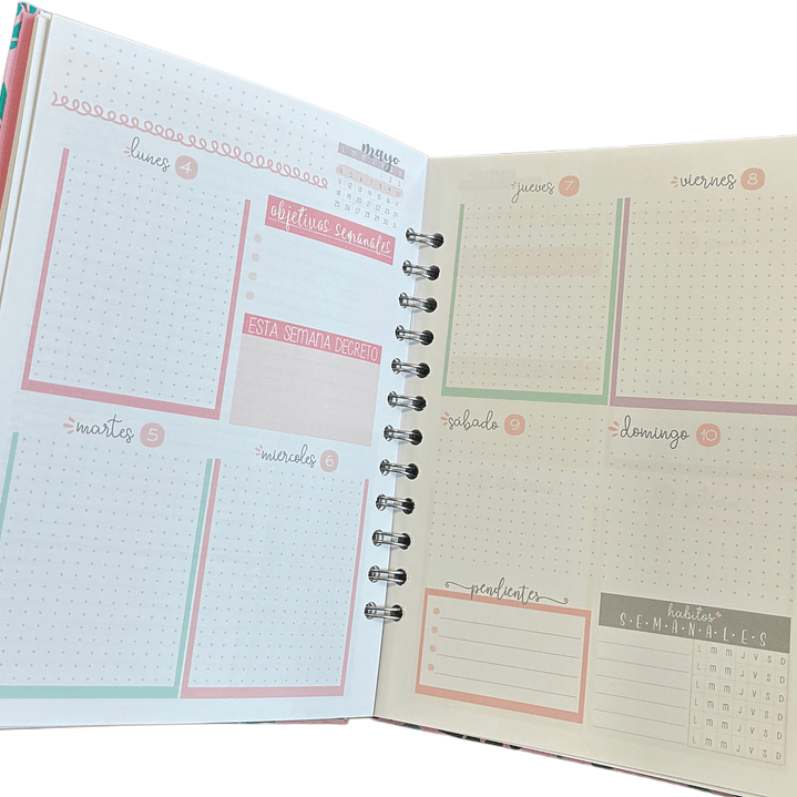 Sale - Planner 2026 Puntos  2