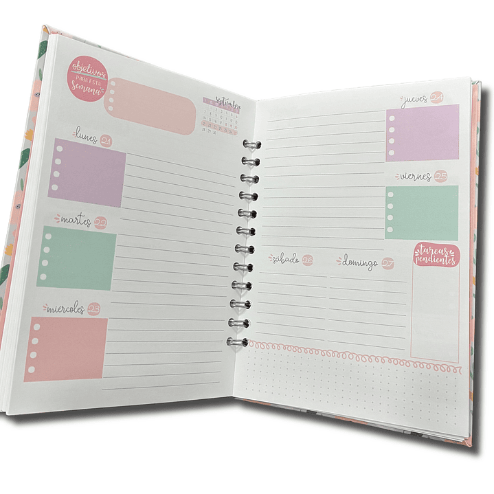 Sale - Planner líneas 2026 2