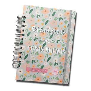 Sale - Planner líneas 2026