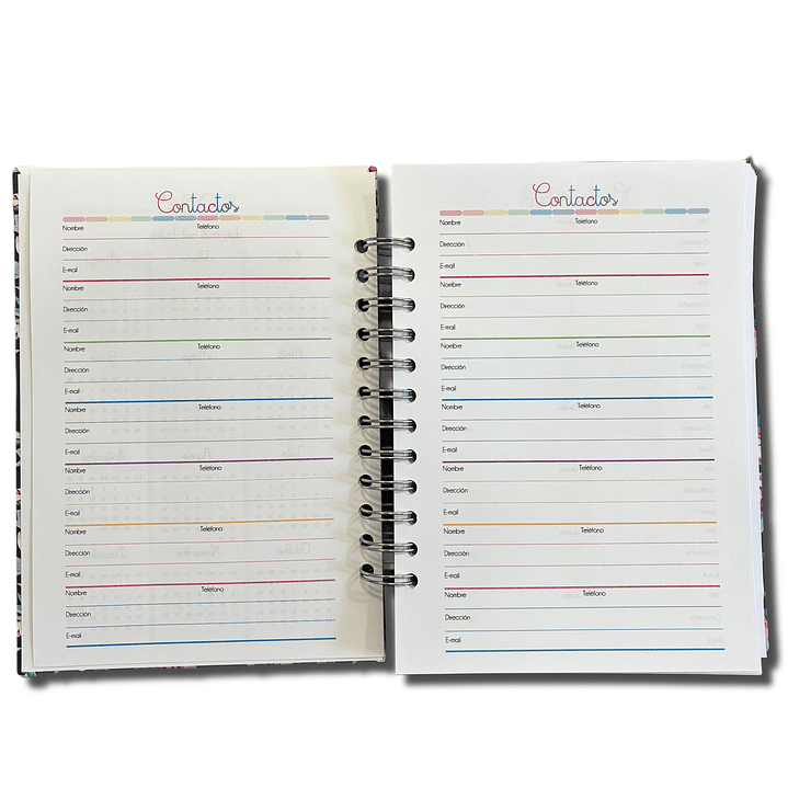 Agenda Diaria 2026 (Modelo 01)  22