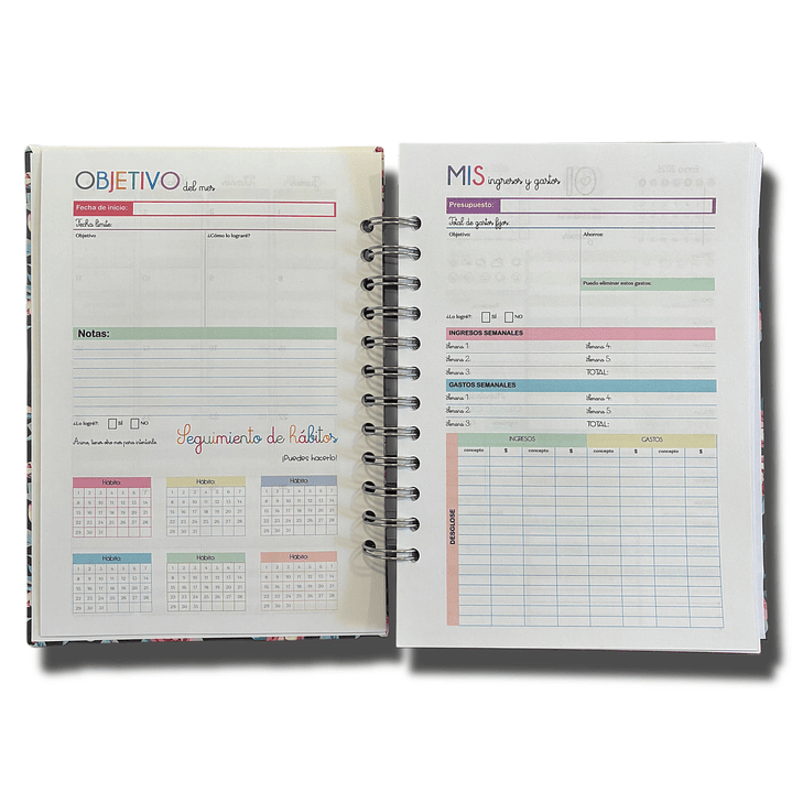 Agenda Diaria 2026 (Modelo 02) 26